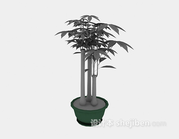 植物盆栽3d模型下载