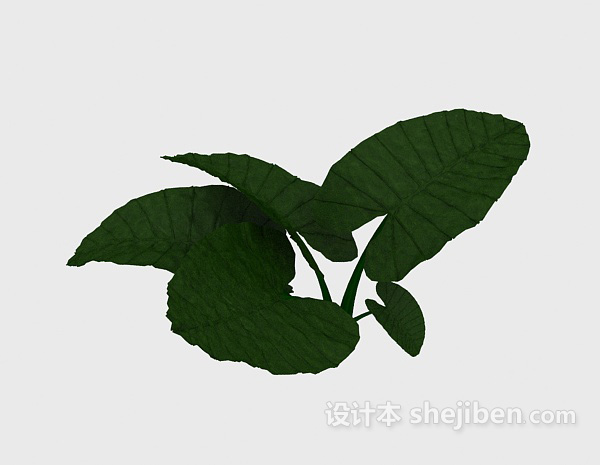 绿叶3d模型下载