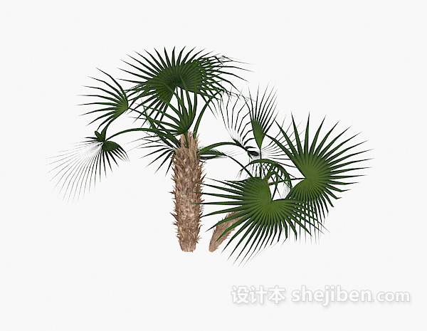 针叶绿色植物3d模型下载