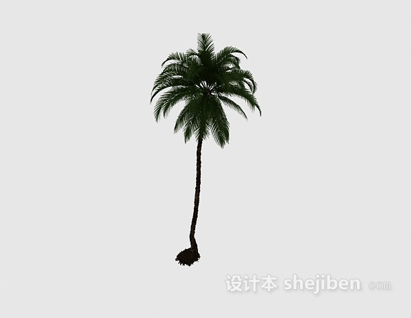 一株棕榈3d模型下载