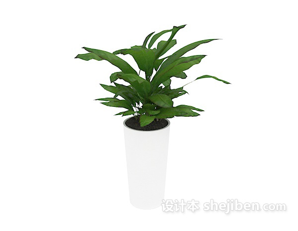 室内装饰盆景 3d模型下载