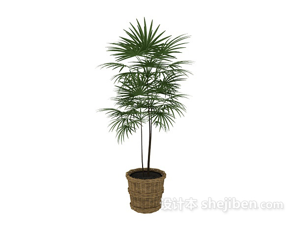 室内盆栽盆景绿色植物3d模型下载