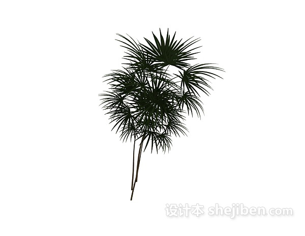 植物3d模型下载
