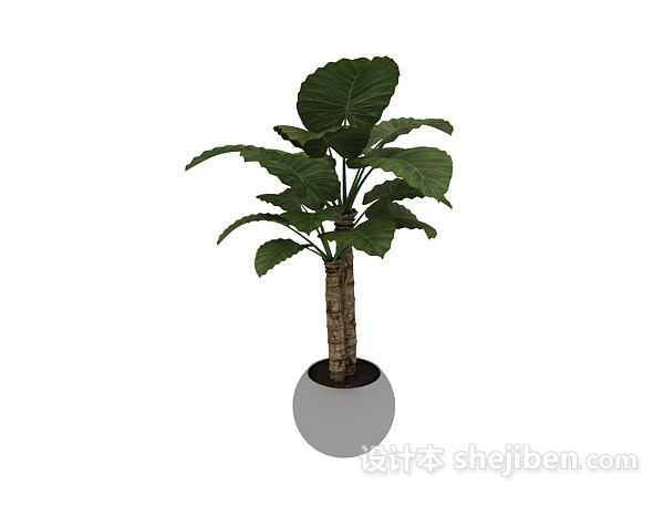 室内盆栽盆景绿色植物3d模型下载