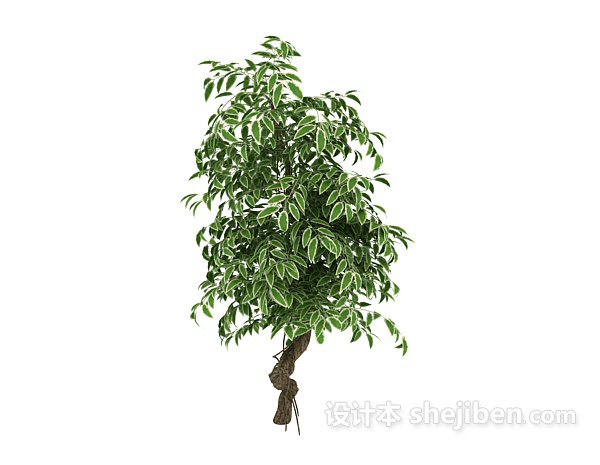 植物3d模型下载