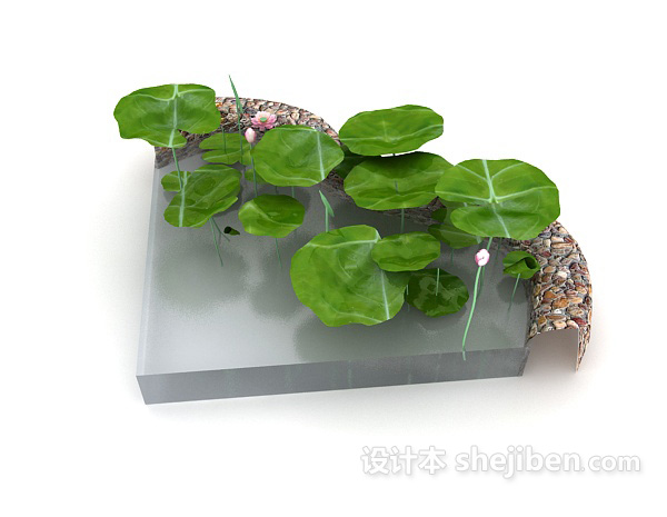 池塘荷花3d模型下载