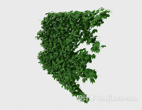 藤植物3d模型下载