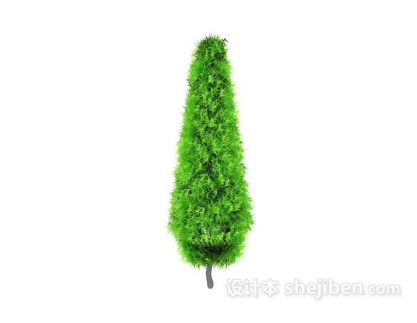 松柏树的3d模型下载