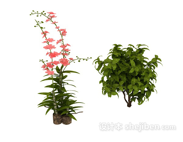 植物3d模型下载