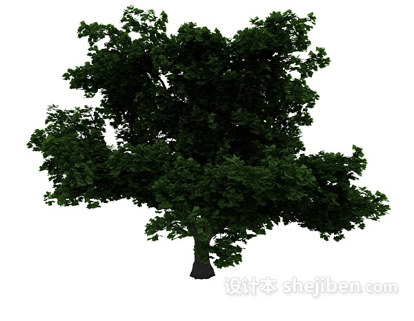 植物3d模型下载
