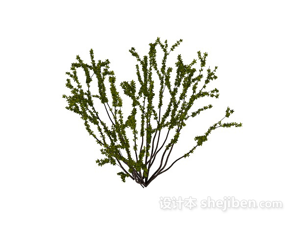 植物3d模型下载