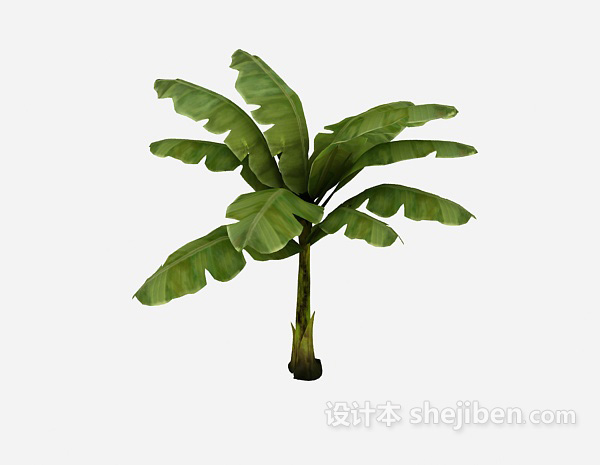 植物3d模型下载