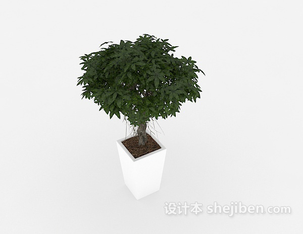 室内装饰盆景 3d模型下载