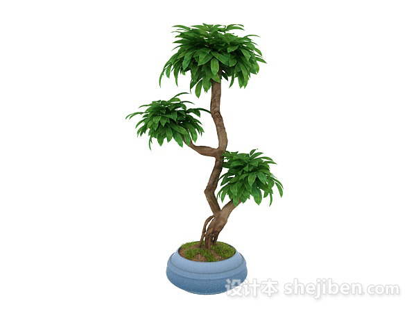 植物3d模型下载