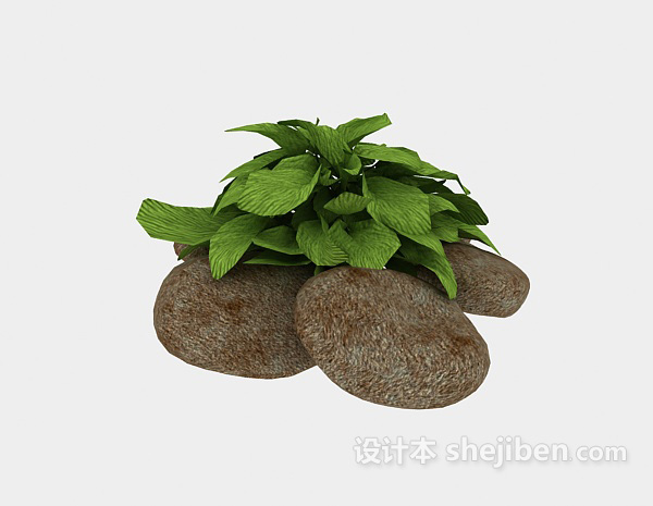 室外植物3d模型下载