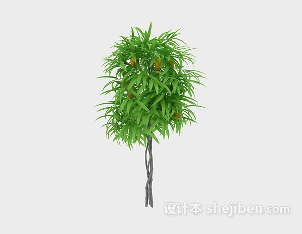 夏季树3d模型下载