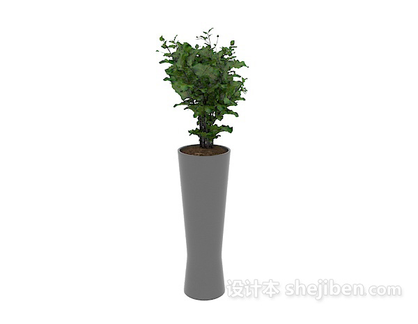 室内装饰绿植 3d模型下载