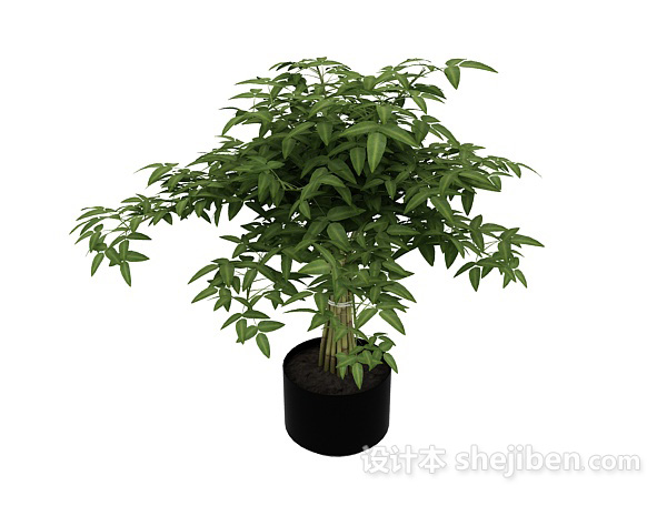 室内植物3d模型下载