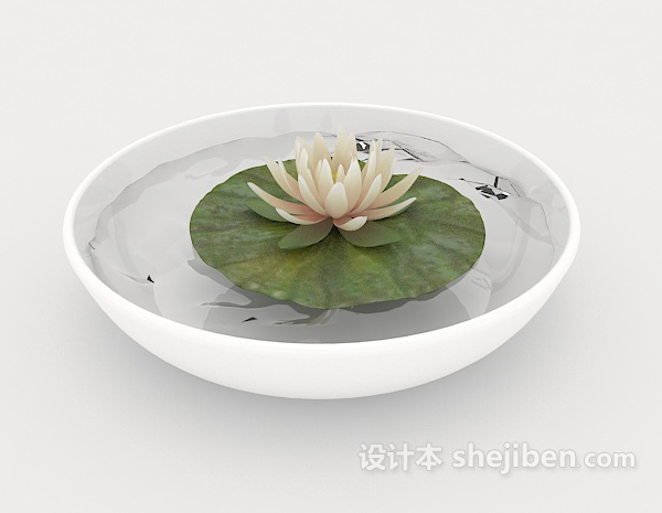 家居睡莲盆栽3d模型下载