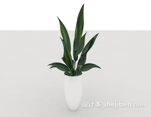 室内绿色盆栽3d模型下载