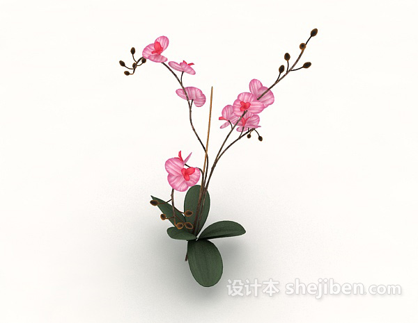 室内植物花束3d模型下载
