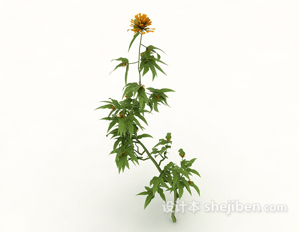 室外常见野生植物3d模型下载