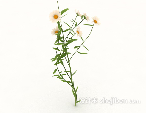 路边野菊花3d模型下载