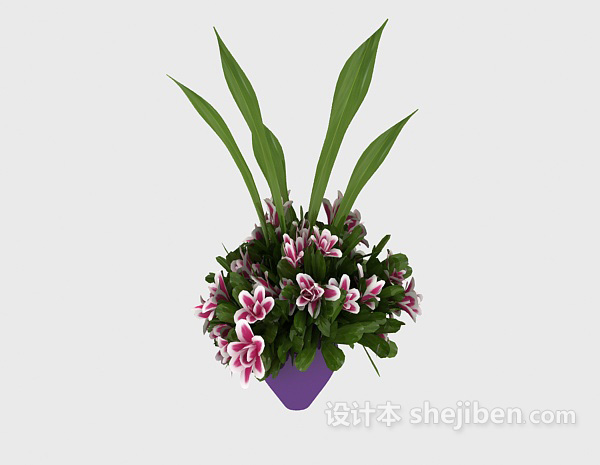 室内装饰植物3d模型下载