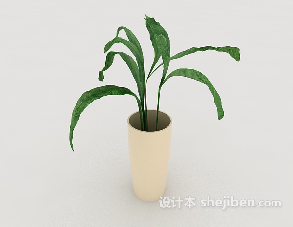 家庭盆栽摆设3d模型下载