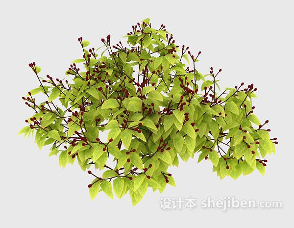 野生植物3d模型下载