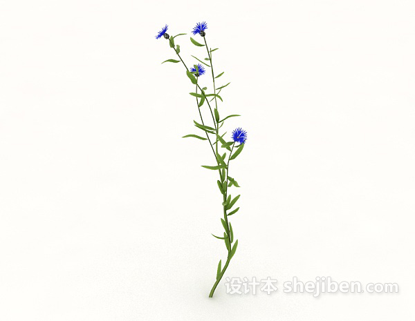 单株植物3d模型下载