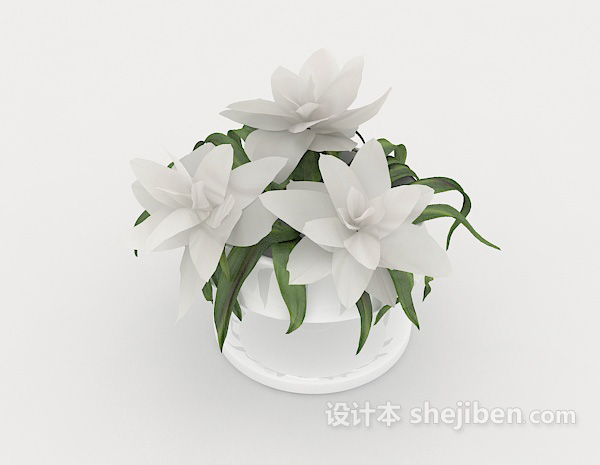 家居盆栽摆设3d模型下载
