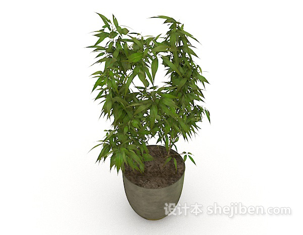绿色室内小盆景3d模型下载