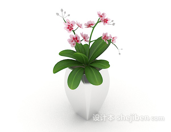 室内小盆栽3d模型下载