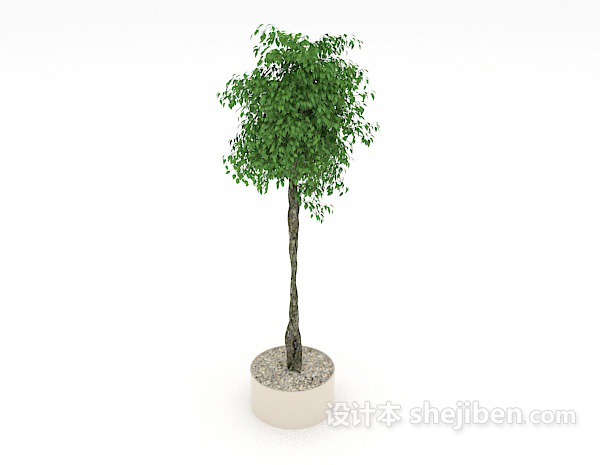 葱茏绿色盆景3d模型下载