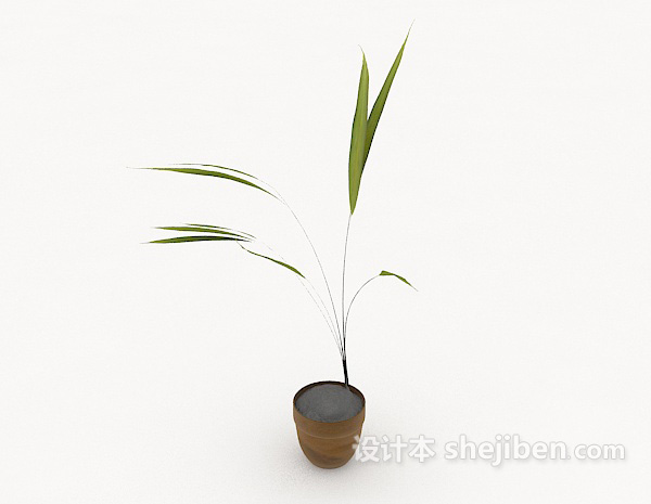 简约居家盆栽3d模型下载