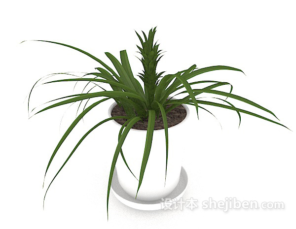 盆景植株3d模型下载
