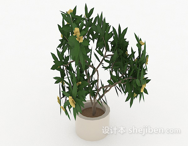 居家简单室内盆栽3d模型下载