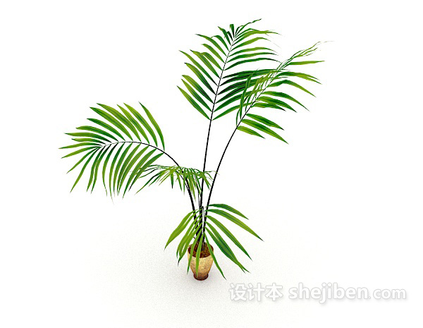 庭院观赏性植物3d模型下载