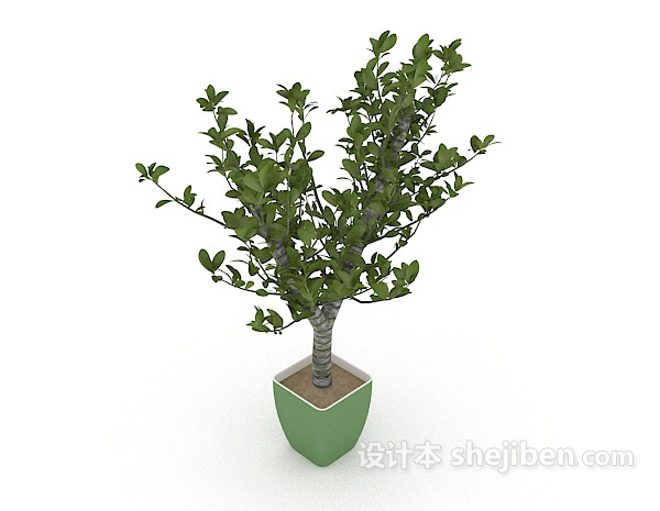 绿色花盆植株3d模型下载