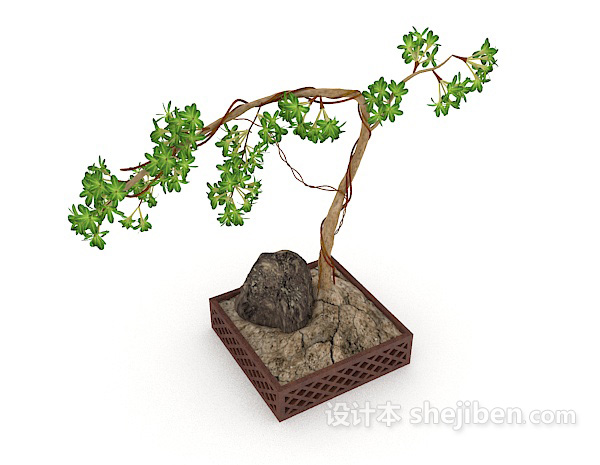 居家盆景植株3d模型下载