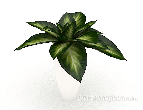 常见简单盆栽3d模型下载