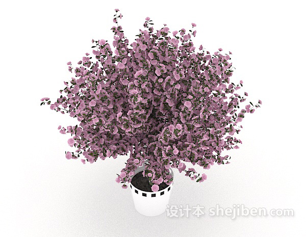 家居装饰盆栽3d模型下载