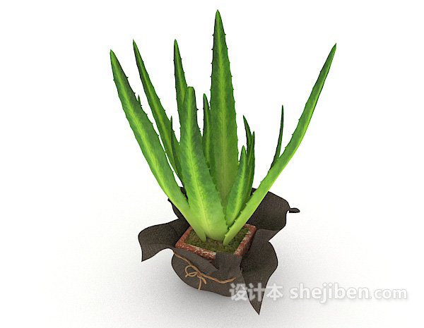 绿色芦荟3d模型下载