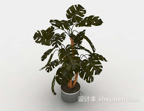 居家装饰盆栽3d模型下载
