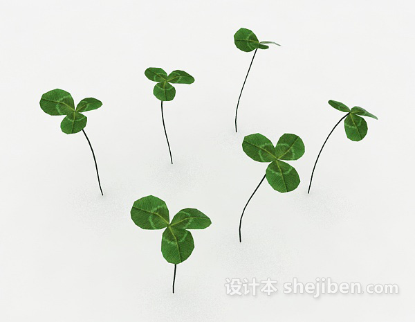 三叶草嫩苗3d模型下载