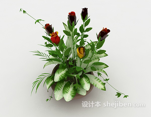 开花盆栽植物3d模型下载