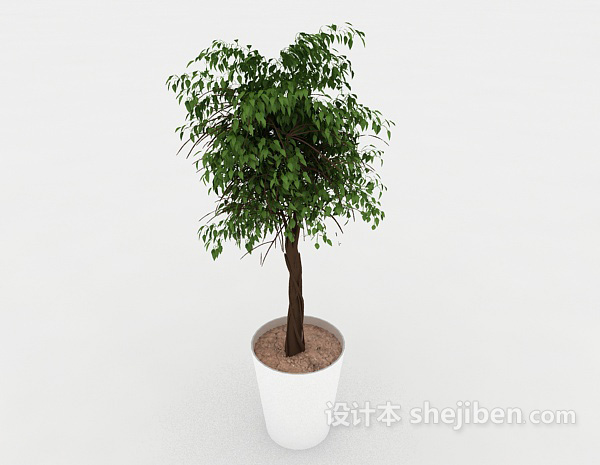 室内植株盆栽3d模型下载
