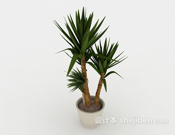 简单室内盆景3d模型下载