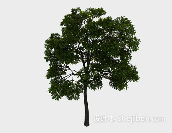 公园植树3d模型下载
